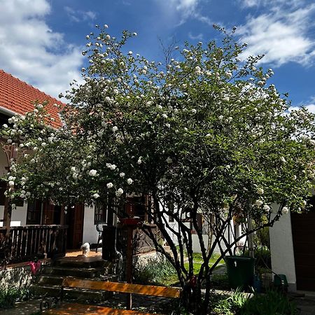 米什科尔茨Magnolia Garden公寓 外观 照片