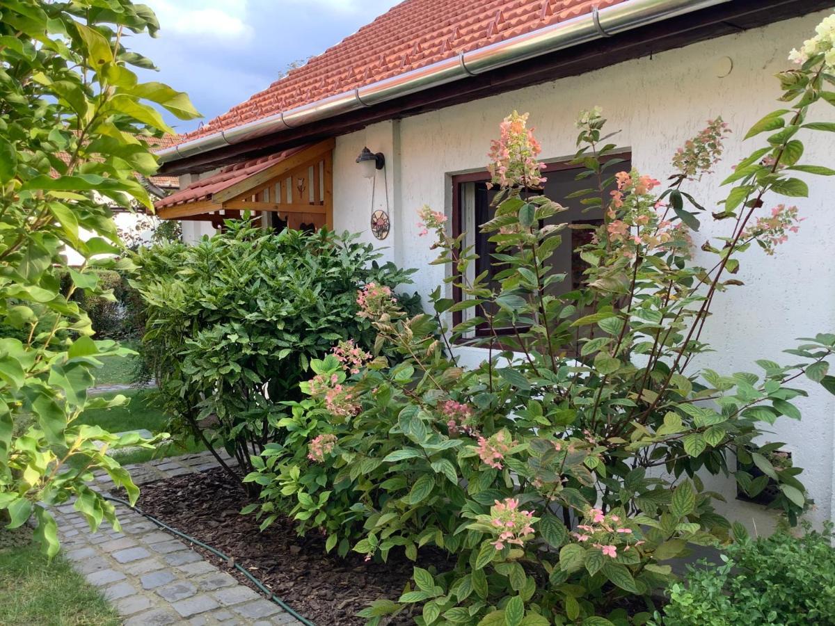 米什科尔茨Magnolia Garden公寓 外观 照片