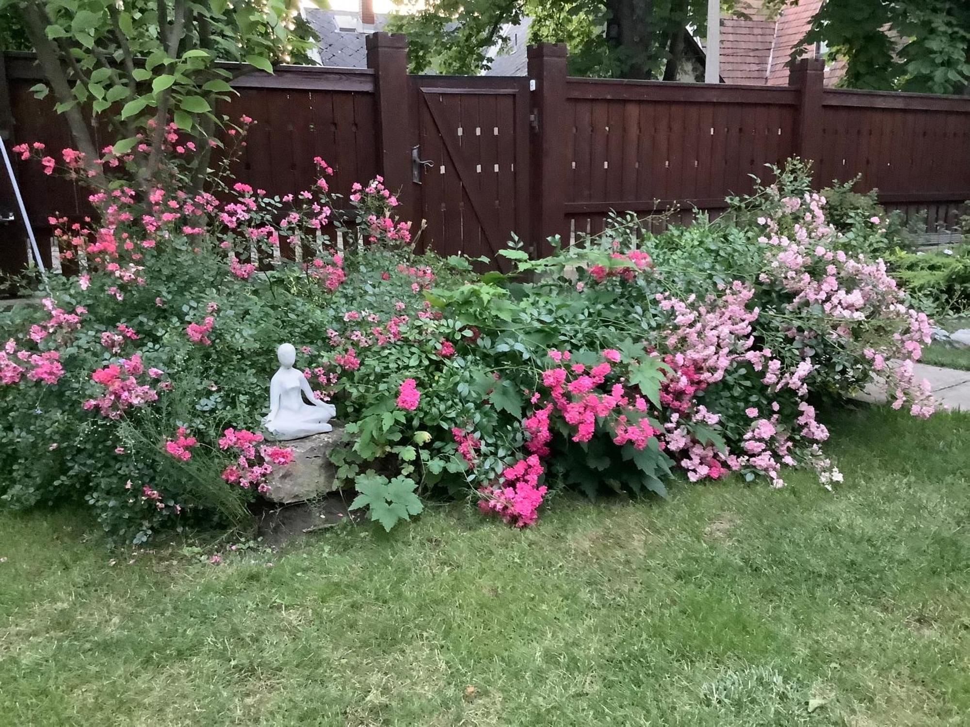 米什科尔茨Magnolia Garden公寓 外观 照片
